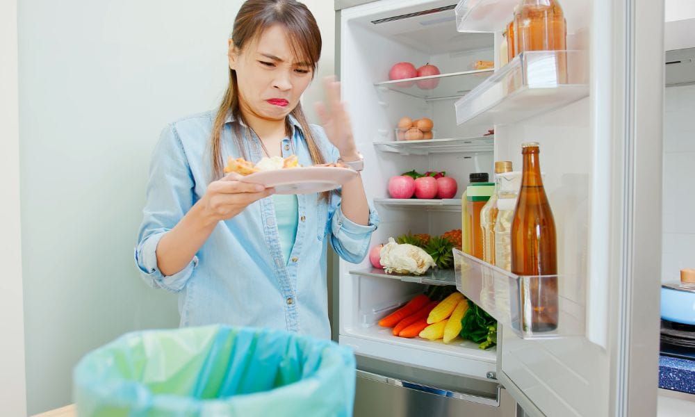 Smelly Fridge Fix