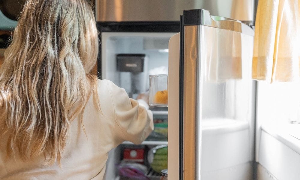 Smelly Fridge Fix