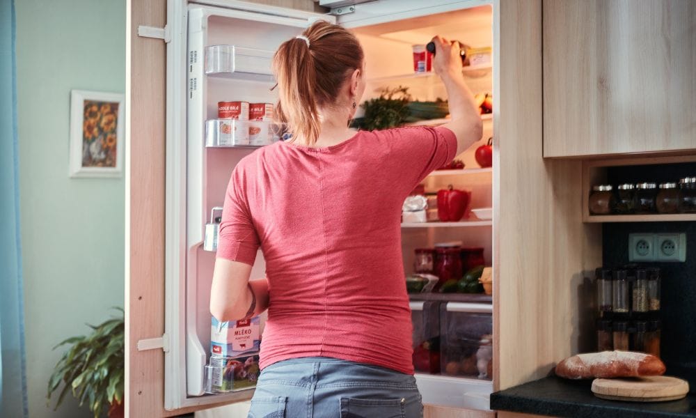Smelly Fridge Fix
