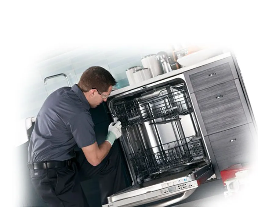 Dishwasher Repair Hamilton