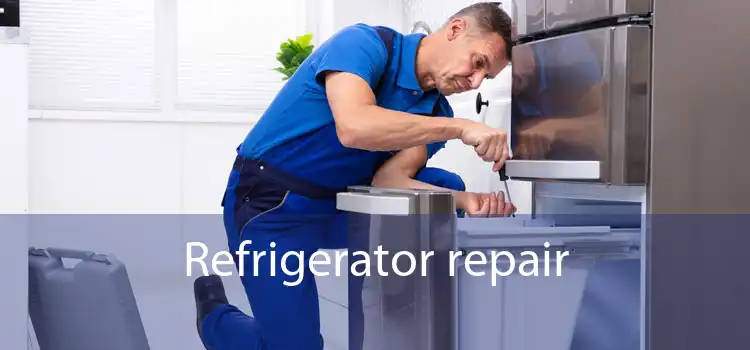 Refrigerator Repair in Hamilton: When Your Food Starts to Spoil