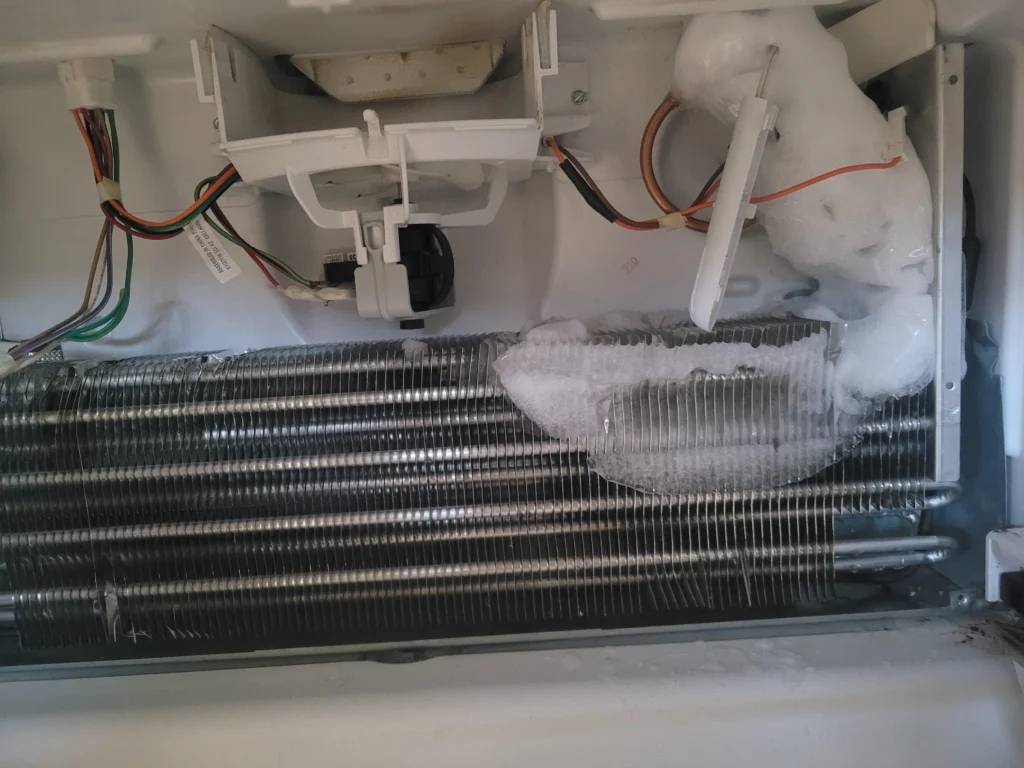 Freezer Not Freezing