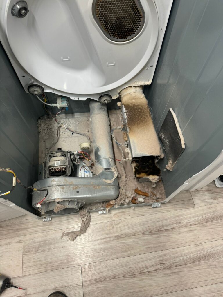 WhatsApp Image 2026 04 01 at 10.58.37 AM 20