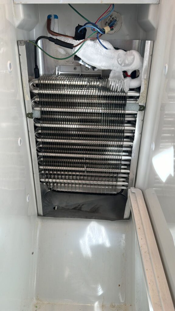 WhatsApp Image 2026 04 01 at 11.19.06 AM 4