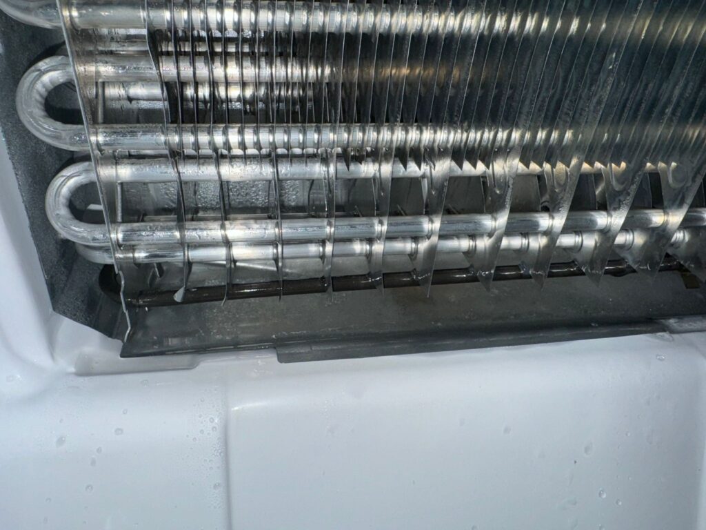 WhatsApp Image 2026 04 01 at 11.19.06 AM 5