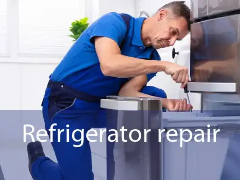 Refrigerator Repair in Hamilton